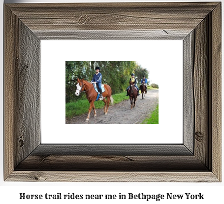 horse trail rides near me in Bethpage, New York